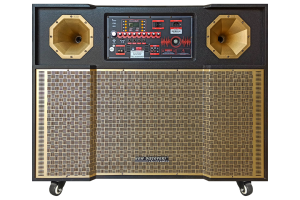 LOA KARAOKE NEW DISCOVERY 4T 7900